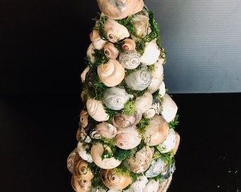 Snail Shell  Topiary
