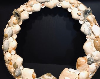 Clam & Welk Shell 19 inch Wreath