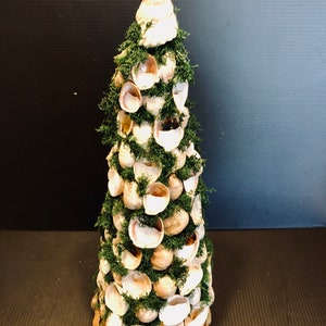 May include: A decorative Christmas tree made of seashells and moss. The tree is cone-shaped and has a wooden base.
