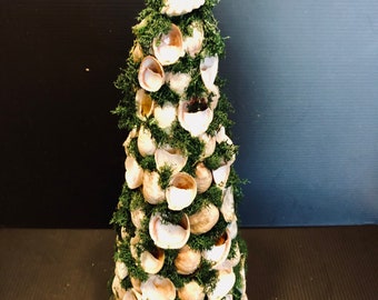 Slipper Shell Topiary