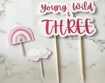 Girl Third Birthday Party Decorations, Pink Young Wild Three Party Theme, Pink Rainbow Cloud Cupcake Picks