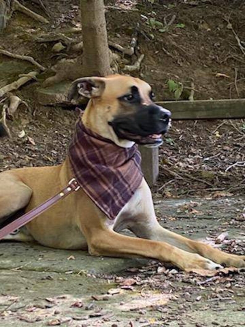 Hund BandanaBrown karierte KrawatteOn Etsy