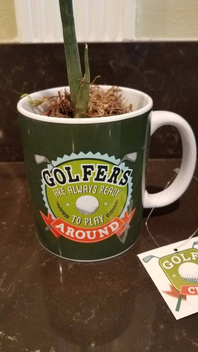 Rare cactus Release oxygen Grand Father day Protect against poisonous gases Father Day Golfers personal and portable plant air filter