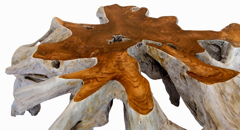 Estella Root Coffee Table Live Edge Natural Teak Wood Image 0