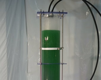 Photobioreaktor (30 Liter / 7,9 US-Gallonen) für den Heimanbau von Spirulina platensis oder anderen Mikroalgen