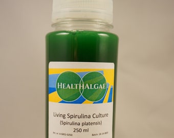 Culture vivante de Spirulina platensis (250 ml) - Algues vivantes - Commencer la culture - Faire pousser de la spiruline vivante à la maison, Cultivez la vôtre