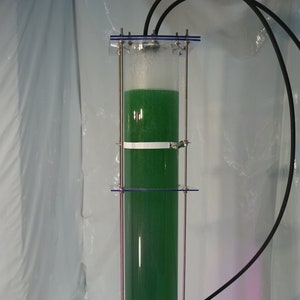 Photobioreactor (30 Liter / 7.9 US gallons) for home cultivation of Spirulina platensis or other micro algae