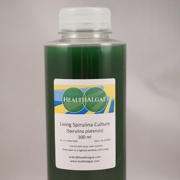 Grow Algae at Home Etsy