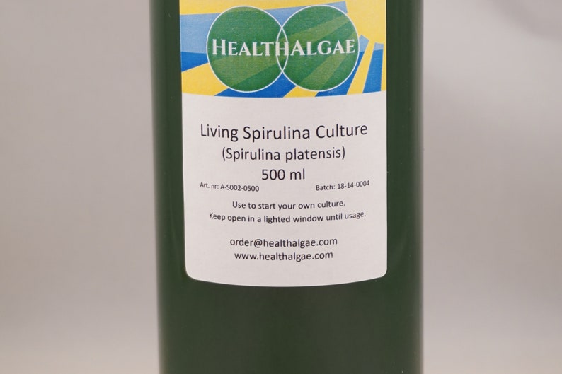 Live Spirulina platensis culture 500 ml Live algae start culture grow living Spirulina at home, Grow your own living Spirulina image 2