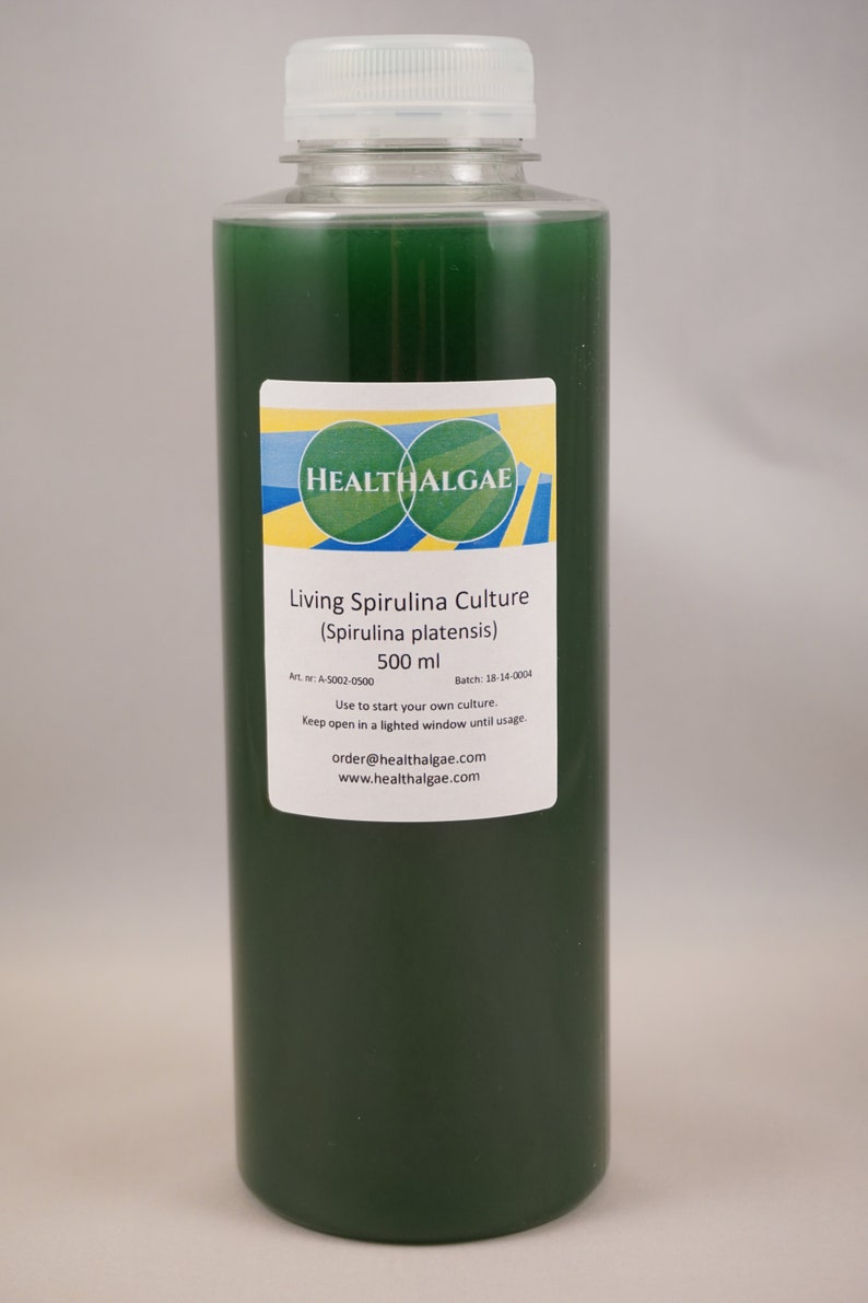 Live Spirulina platensis culture 500 ml Live algae start culture grow living Spirulina at home, Grow your own living Spirulina image 1