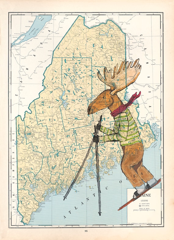 Maine Moose Zones Map