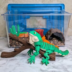 Articulating Pet Iguana Terrarium, No Maintenance DIY Kit, Realistic Colorful Class Pet, Flexi Toy to Teach Responsibility, Fun Kids Fidget