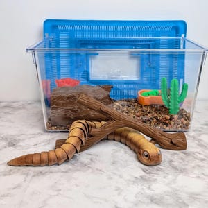 May include: A clear plastic terrarium with a blue lid, housing a miniature habitat. Inside are decorative elements like a rock, a cactus, and a small food dish. A brown, segmented worm-like toy rests in front of the terrarium.