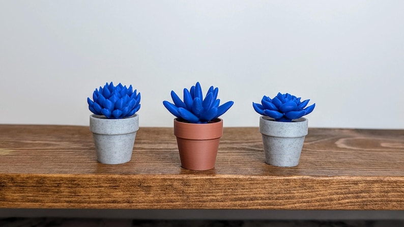May include: Three small, artificial succulents in pots. The succulents are a vibrant blue color, contrasting with the neutral tones of the pots. One pot is terracotta, and the other two are gray. The plants sit on a wooden shelf.
