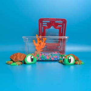 May include: A clear plastic terrarium with a red lid and a decorative coral and gravel base. Two cartoon turtle figurines with green bodies and brown shells are in front of the terrarium. The background is a solid blue.