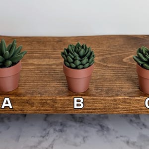 May include: Three small, artificial succulents in terracotta pots are arranged on a wooden shelf. The succulents are various shades of green, and the pots are labeled A, B, and C. The shelf is a dark brown color.