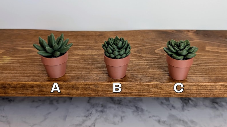May include: Three small, artificial succulents in terracotta pots are arranged on a wooden shelf. The succulents are various shades of green, and the pots are labeled A, B, and C. The shelf is a dark brown color.