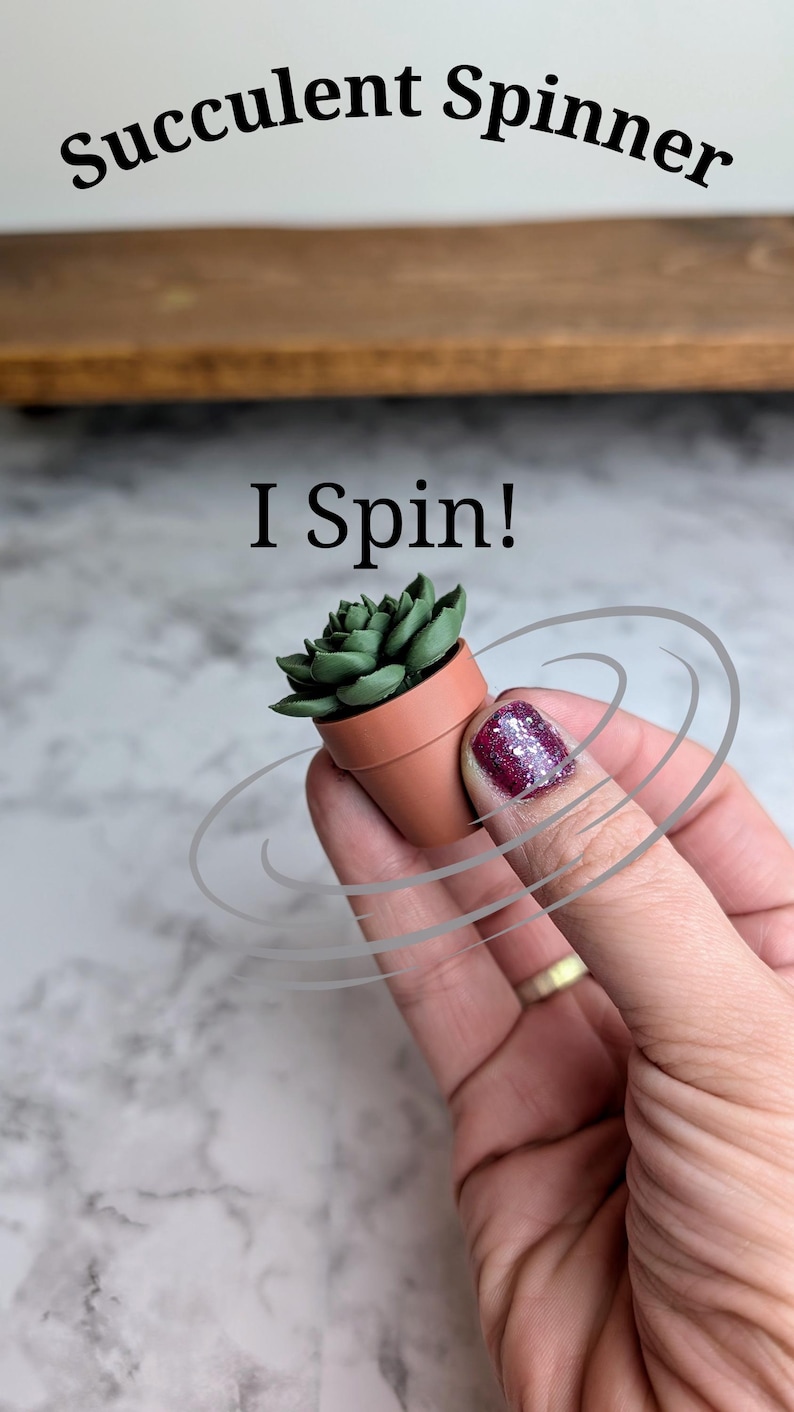 May include: A small, terracotta-colored pot holds a green succulent plant. The text "Succulent Spinner" and "I Spin!" are displayed. The image shows a hand holding the pot, with spinning motion lines drawn around it.