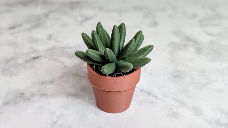May include: A small, green succulent plant with thick, finger-like leaves, potted in a terracotta-colored pot. The plant sits on a white and gray marble-patterned surface. The pot has a simple, cylindrical shape.