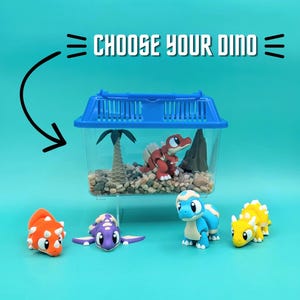 May include: A clear plastic habitat with a blue lid containing a red dinosaur figure, a palm tree, and a rock on a bed of pebbles. The text CHOOSE YOUR DINO is above. Four additional dinosaur figures in orange, purple, blue, and yellow sit below.
