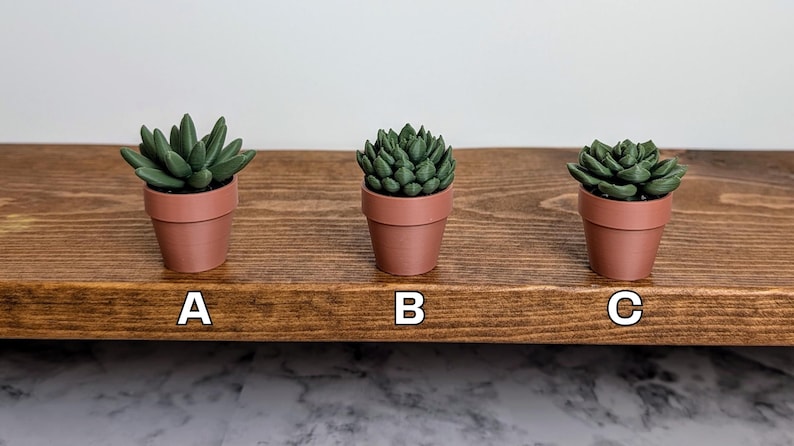May include: Three small, potted succulents with green leaves and terracotta-colored pots are arranged on a wooden shelf. The succulents are labeled A, B, and C. The shelf is a dark brown color, and the background is white.