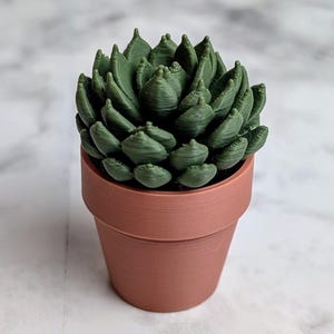 May include: A small, artificial succulent plant in a terracotta-colored pot. The succulent has multiple green leaves arranged in a rosette shape. The pot is cylindrical with a slightly flared rim. The background is a marble pattern.