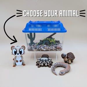 May include: A clear plastic terrarium with a blue lid containing a green lizard, rocks, and a cactus. Surrounding the enclosure are four small animal figurines: a brown and white mammal, a brown spider, a brown turtle, and a brown snake. Text reads CHOOSE YOUR ANIMAL.