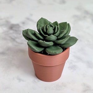 May include: A small, green succulent plant in a terracotta-colored pot. The plant has multiple layered leaves and is centered in the frame. The pot is cylindrical with a slightly flared rim. The background is a white marble pattern.