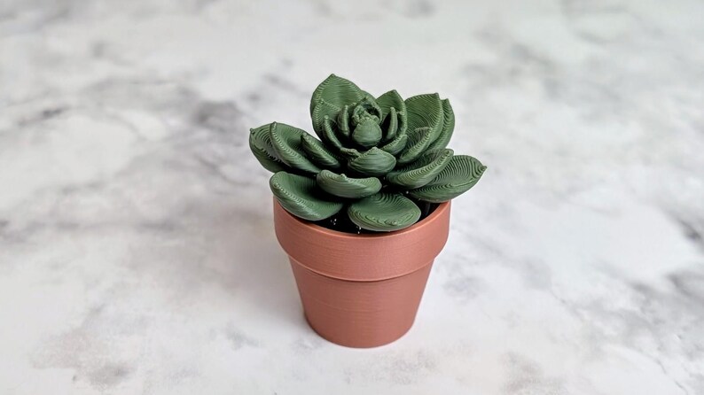 May include: A small, green succulent plant in a terracotta-colored pot. The plant has multiple layered leaves and is centered in the frame. The pot is cylindrical with a slightly flared rim. The background is a white marble pattern.