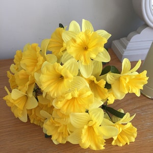 May include: A bouquet of yellow daffodils with green stems. The flowers are arranged in a cluster and have a soft, delicate appearance.