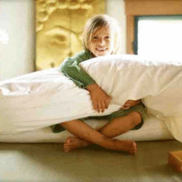 PILLOW BODY - ORGANIC with Removable Case