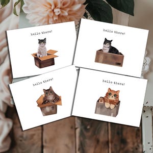 Cats in Boxes Greeting Cards Set - Pack of 4 Cute Hello Cards - Cat Lover Stationery - Includes Envelopes SKU1041