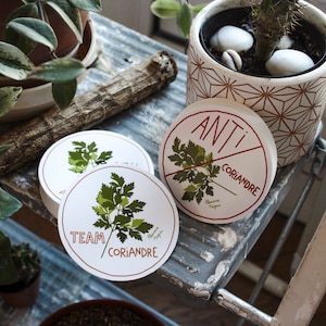 Adesivi "Team Coriander" o "Anti Coriander" / adesivo in vinile da 8 cm