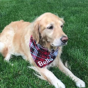 custom dog neckerchief