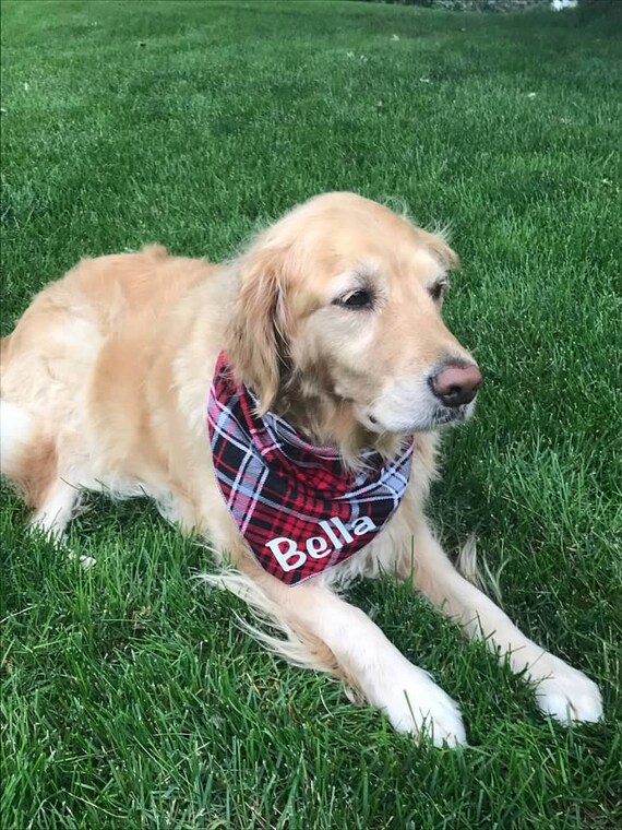 etsy custom dog bandanas