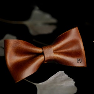 Unique holiday gift for him, groomsman proposal bow tie,niece gift from aunt, remembrance gift, grad gifts for him, sympathy present image 4