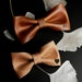 see more listings in the Leather bow ties men section