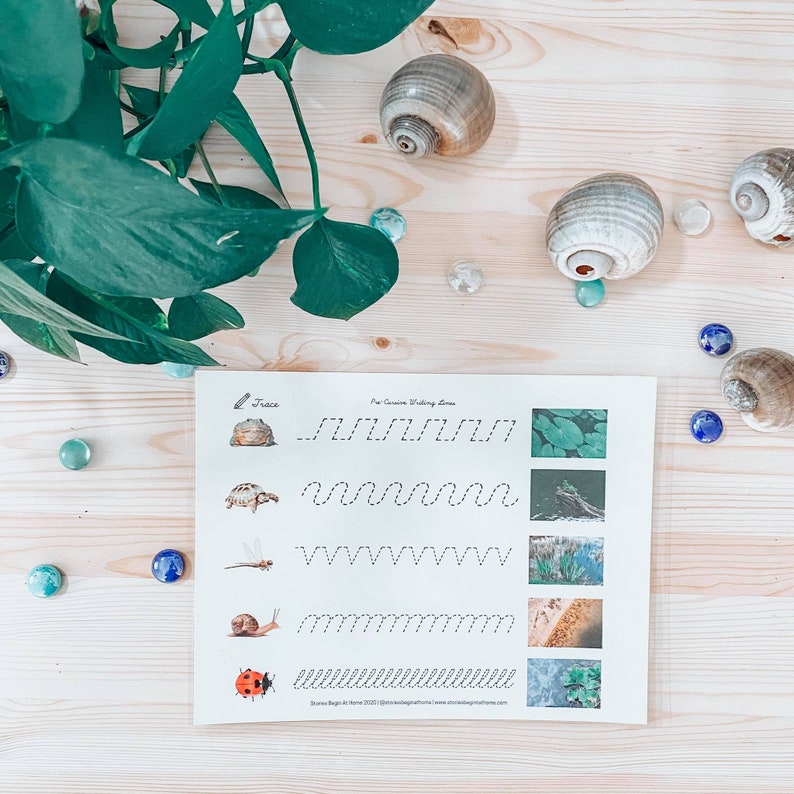 May include: A printable worksheet with five lines to trace. Each line is paired with a picture of a turtle, a snail, a dragonfly, a ladybug, and a frog. The worksheet is titled "Pre-Cursive Writing Lines".