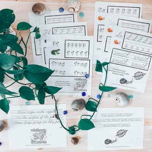 May include: A set of printable worksheets for preschoolers featuring the letters 'F' and 'S'. The worksheets include tracing lines, writing practice, and simple sentences about frogs and snails. The worksheets are decorated with illustrations of frogs and snails.