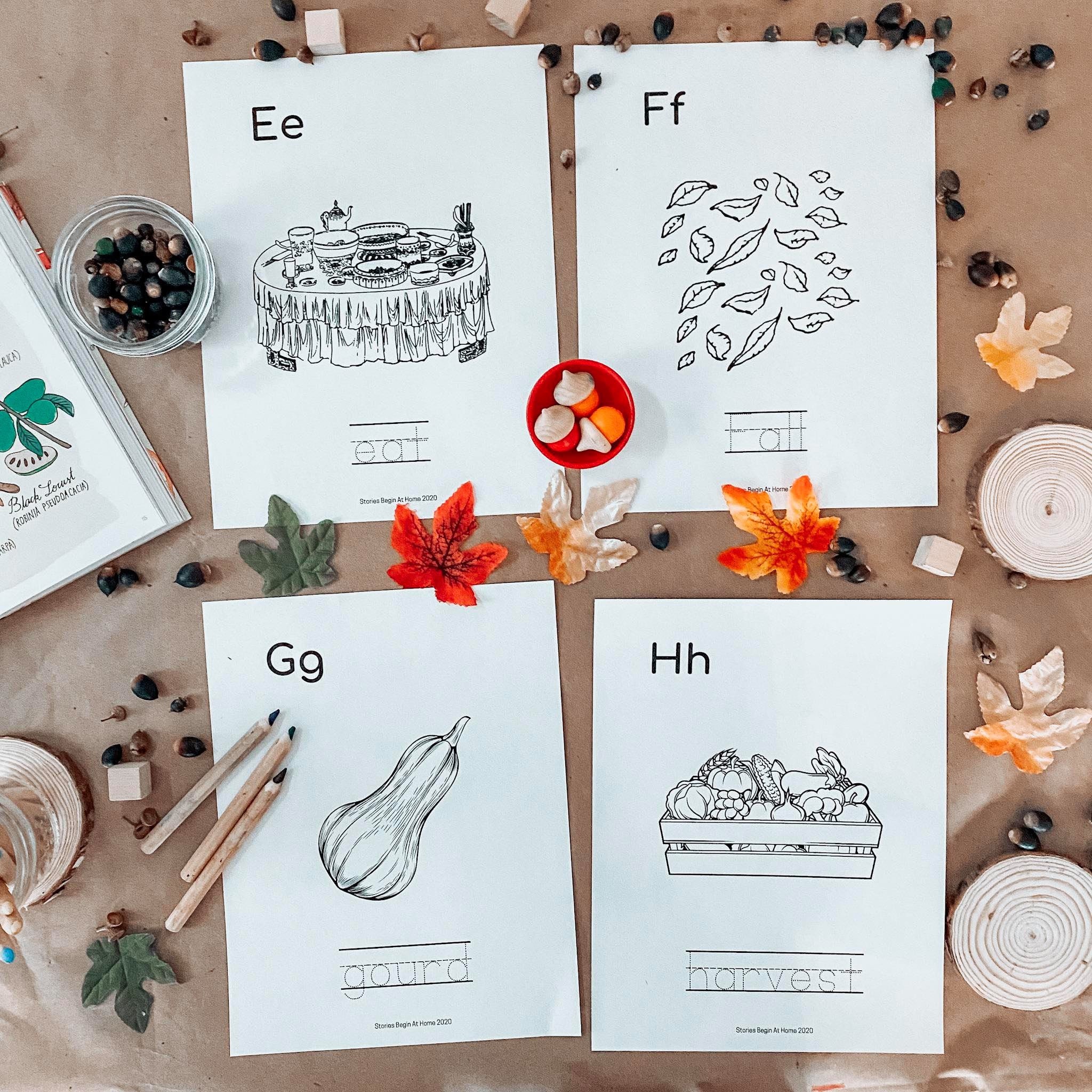 Fall Learning Printablesfall Learning for Kidsfall Coloring - Etsy