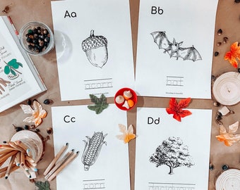 Imprimibles de aprendizaje de otoño/Aprendizaje de otoño para niños/Páginas para colorear de otoño imprimibles/Actividades del alfabeto /Imprimibles del alfabeto/Actividades de otoño
