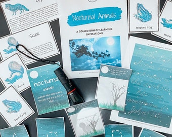 Animales nocturnos//Imprimibles de educación en el hogar/Plan de estudios de educación en el hogar/Tarjetas Montessori/Tarjetas de tres partes/Plan de estudios de la naturaleza/Tarjetas de animales