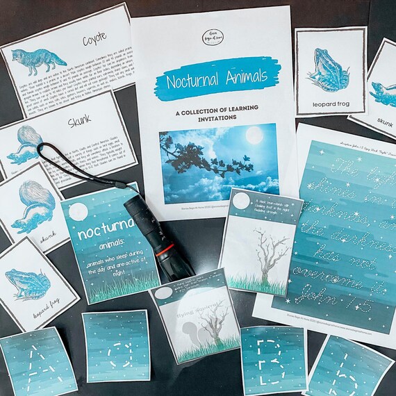 Nocturnal Animals||Homeschool Printables|Homeschool Curriculum|Montessori Cards|Three Part Cards|Nature Curriculum|Animal Flashcards