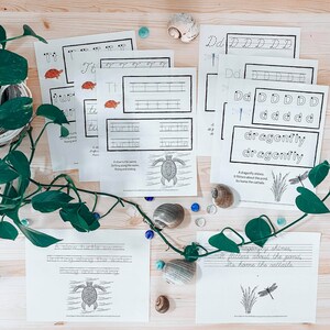 May include: Black and white printable worksheets for learning the letters T and D. The worksheets feature illustrations of a turtle and a dragonfly, along with the text "A slow turtle swims, Drifting along the water, Rising and sinking" and "A dragonfly shines, It flitters about the pond, Its home the cattails."