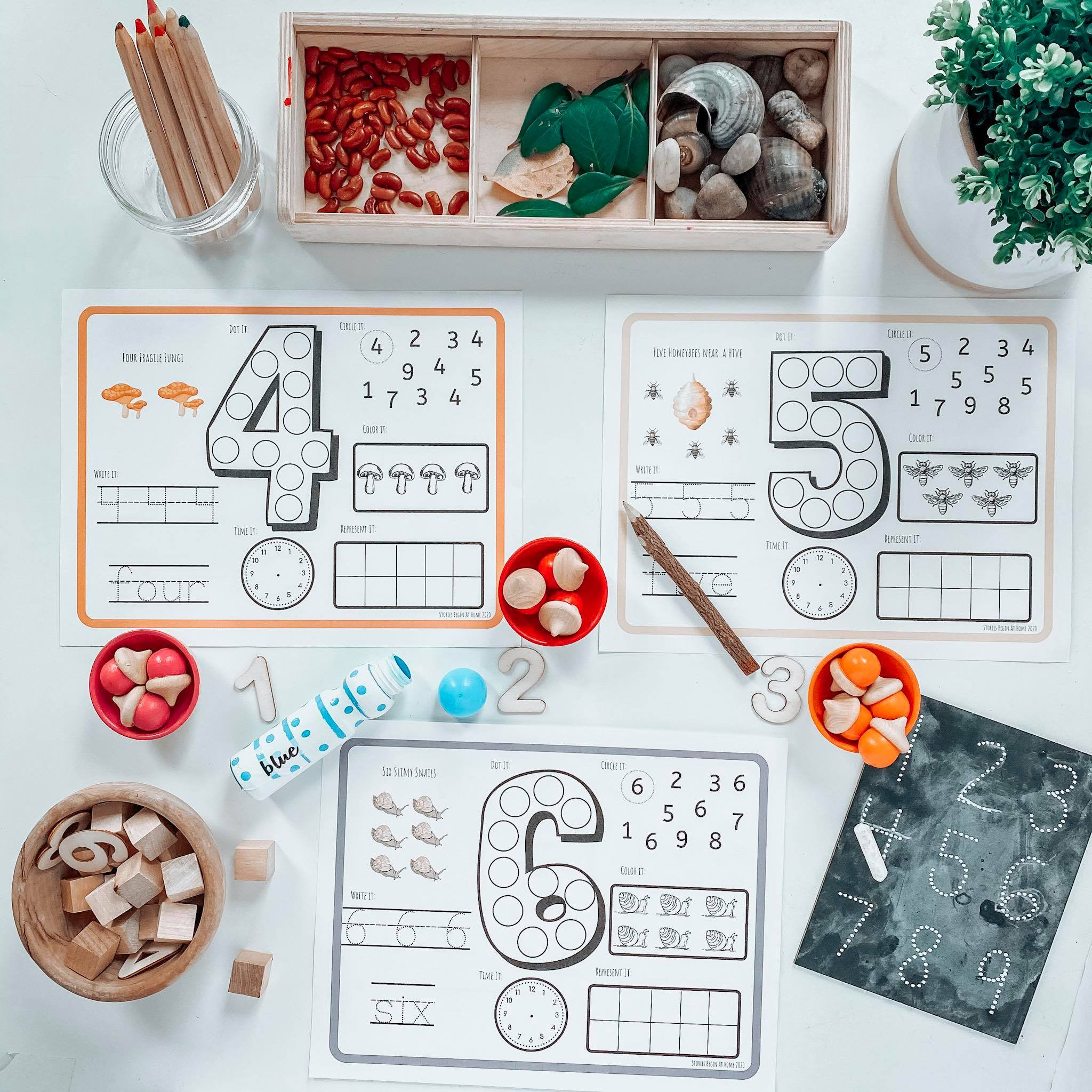Nature Math Activity Nature Math|math Activities|beginning Numbers|kindergarten|preschool ...