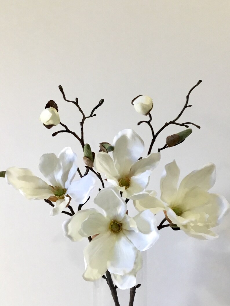 Magnolia Silk Magnolia in glass vase with acrylic water Flower Etsy