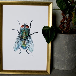 Drawing, Illustration, Poster, Fly, Isects, Art Print image 2