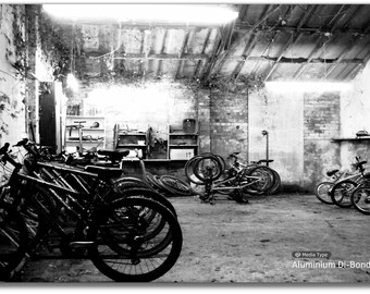 Bike Shed