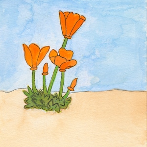 California Poppies Art Print, Poppies Art Print, Orange Poppies, Aquarell, 8 X 10 5 X 7 Art Prints, Aquarell Art Prints