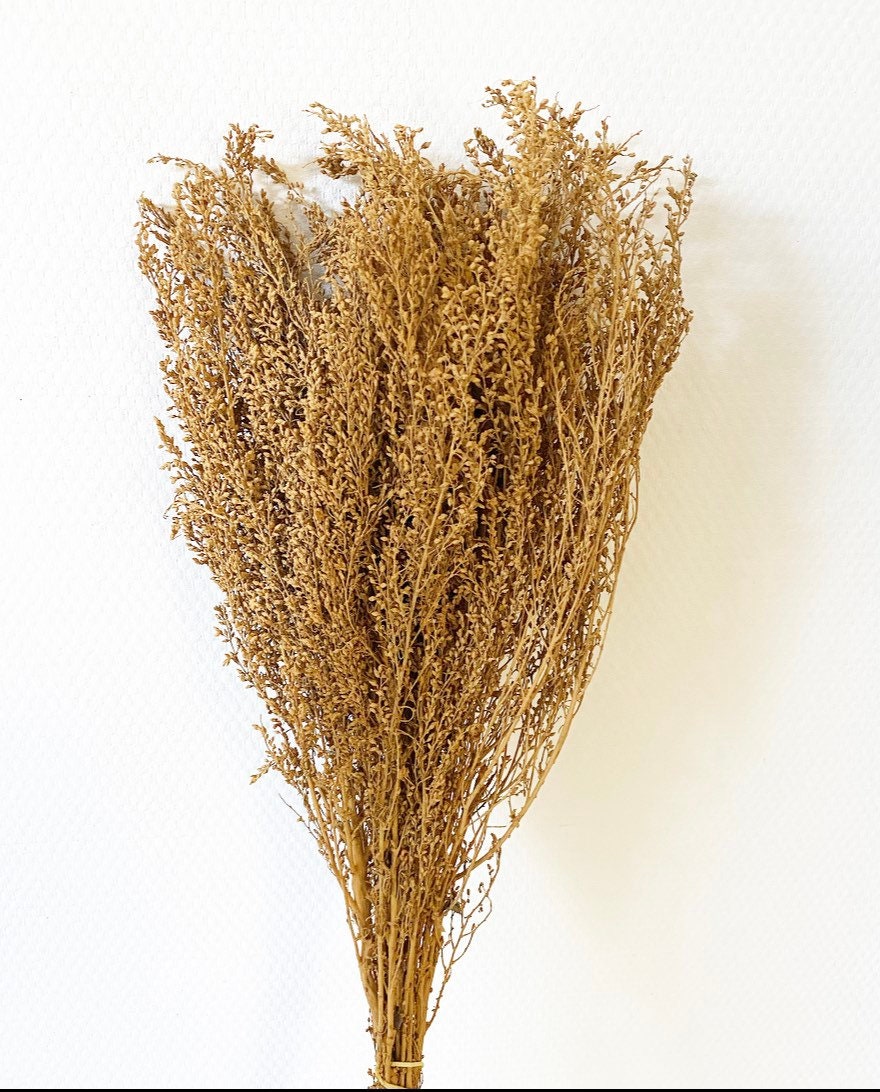Bouquet de Fleurs Séchées